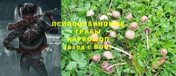 MDMA Бородино
