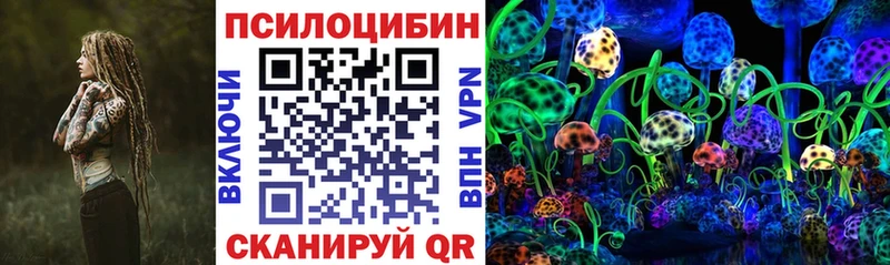 Купить где  Хасавюрт  Галлюциногенные грибы Psilocybe 